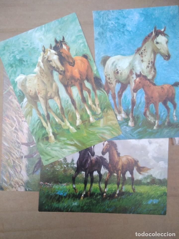 Postkarten: Lote de 5 postales caballos recortadas, ver fotos