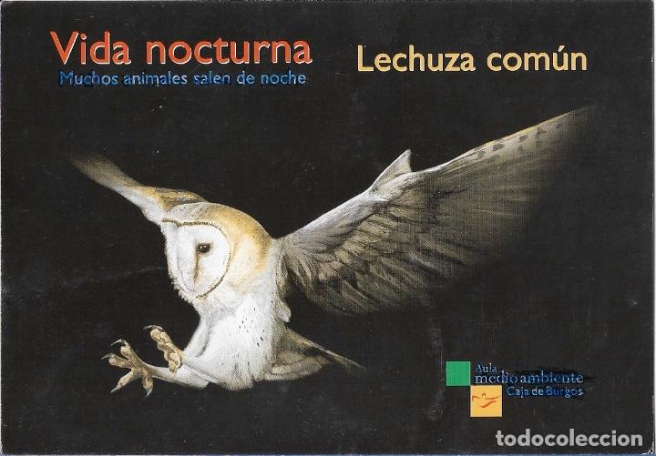Postais: POSTAL LECHUZA CAJA DE BURGOS - SIN ESCRIBIR