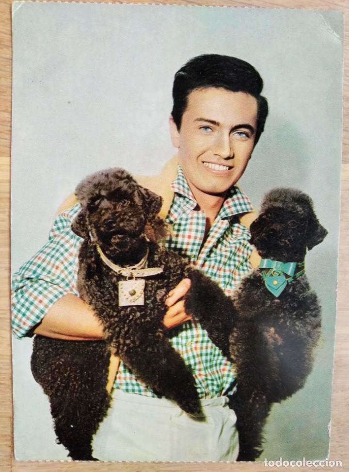 Postkarten: SE&Ntilde;OR CON PERROS