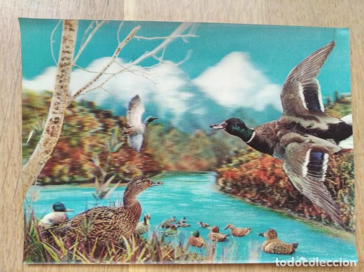 Postais: PATOS - POSTAL 3D