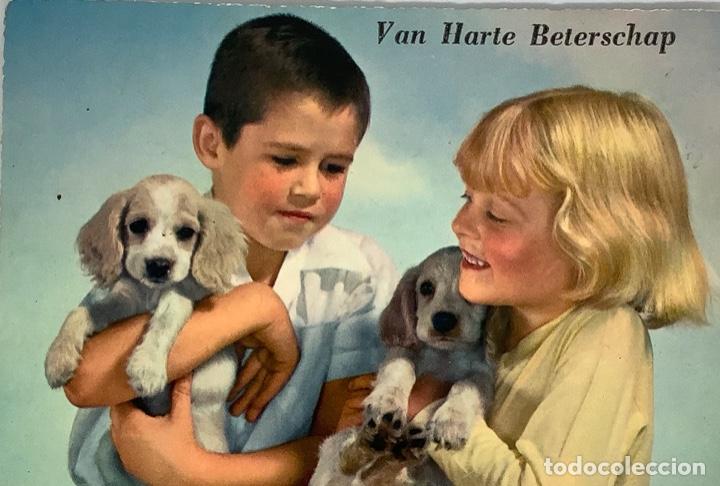 Postkarten: Postal vintage infancia ni&ntilde;os y ni&ntilde;as con animales. Holandesa a&ntilde;os 60-70. Ver reverso.