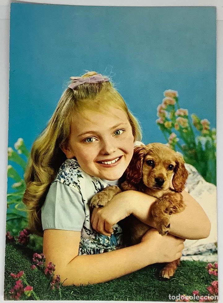 Postkarten: Postal vintage infancia ni&ntilde;os y ni&ntilde;as con animales. Matasello &Aacute;rtico. A&ntilde;os 60-70. Ver reverso.