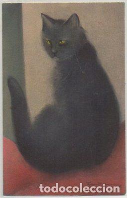 Postkarten: POSTAL DE ANIMALES. GATOS N&ordm; 84 P-ANI-077,3