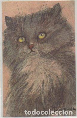 Postkarten: POSTAL DE ANIMALES. GATOS N&ordm; 78 P-ANI-079,4