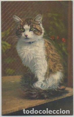 Postkarten: POSTAL DE ANIMALES. GATOS N&ordm; 56 P-ANI-080,2