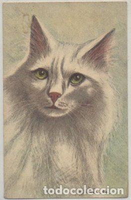 Postkarten: POSTAL DE ANIMALES. GATOS N&ordm; 80 P-ANI-083,3