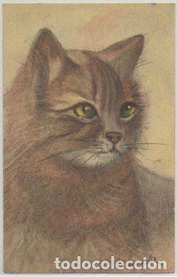 Postkarten: POSTAL DE ANIMALES. GATOS N&ordm; 7 P-ANI-085,2