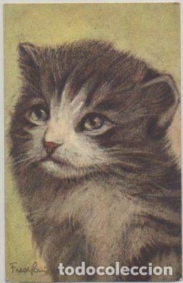Postkarten: POSTAL DE ANIMALES. GATOS N&ordm; 82 P-ANI-086,3