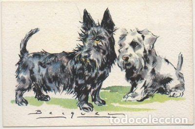 Postkarten: POSTAL DE ANIMALES. PERROS. SERIE B N&ordm; 5 P-ANI-087,4