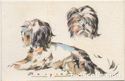 Postkarten: POSTAL DE ANIMALES. PERROS. SERIE B N&ordm; 9 P-ANI-088,3