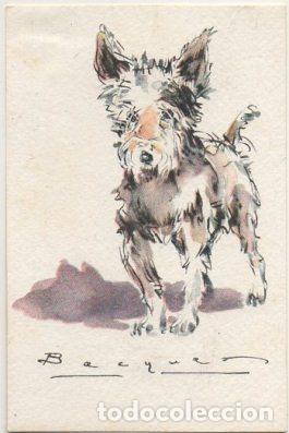 Postkarten: POSTAL DE ANIMALES. PERROS. SERIE B N&ordm; 12 P-ANI-090,5