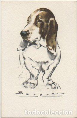 Postkarten: POSTAL DE ANIMALES. PERROS. SERIE B N&ordm; 2 P-ANI-091,5