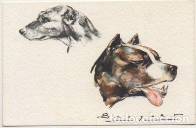 Postkarten: POSTAL DE ANIMALES. PERROS. SERIE B N&ordm; 3 P-ANI-092