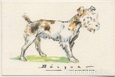 Postkarten: POSTAL DE ANIMALES. PERROS. SERIE B N&ordm; 6 P-ANI-093