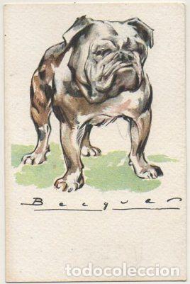 Postkarten: POSTAL DE ANIMALES. PERROS. SERIE B N&ordm; 7 P-ANI-094,7