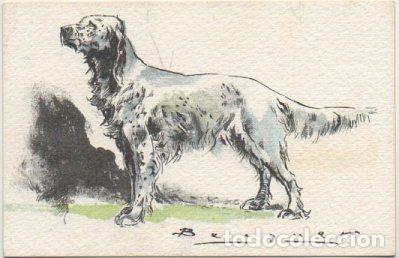 Postkarten: POSTAL DE ANIMALES. PERROS. SERIE B N&ordm; 3 P-ANI-096,4