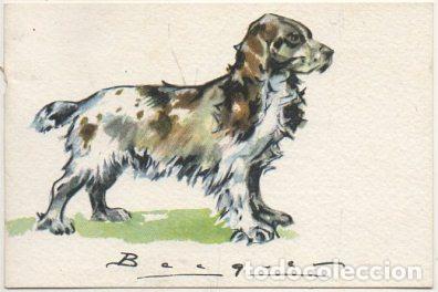 Postkarten: POSTAL DE ANIMALES. PERROS. SERIE B N&ordm; 1 P-ANI-097 ,5
