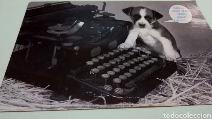 Postkarten: PERRO CON MAQUINA DE ESCRIBIR. SIN CIRCULAR PERO ESCRITA. DETOT.