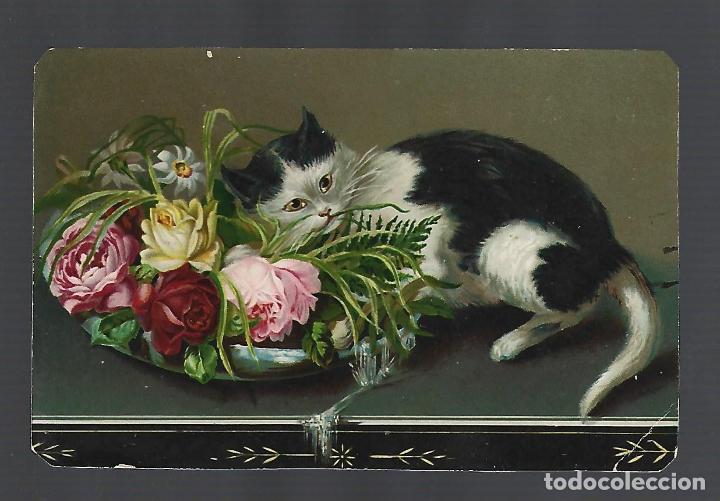 Postais: TARJETA POSTAL. ANIMALES. DIBUJO DE GATO ECHADO EN CESTO DE FLORES.