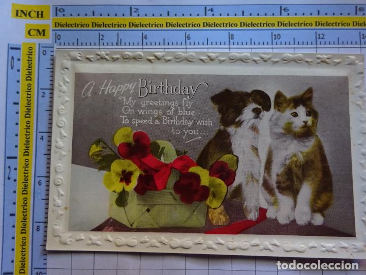 Postales: POSTAL DE ANIMALES. PERRO GATO. CUMPLEA&Ntilde;OS. 193 - Foto 1