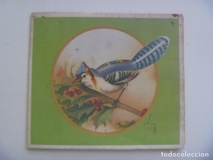 Postais: RARA POSTAL PARA FELICITAR CON DIBUJO DE PAJARO, SE ABRE . A&Ntilde;OS 50