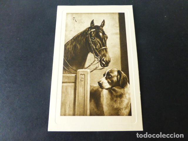 Postales: CABALLO Y PERRO POSTAL CON ORLA EN RELIEVE - Foto 1