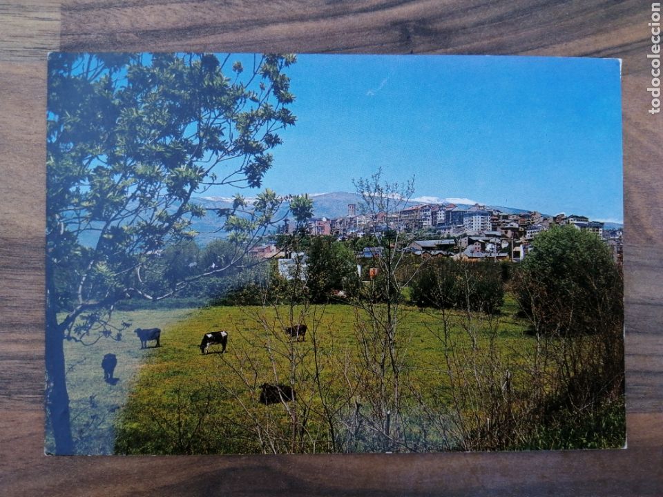 Postais: POSTAL PUIGCERDA VISTA PANOR&Aacute;MICA