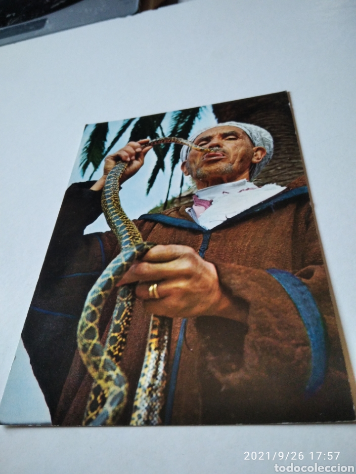 Postcards: Postal encantador de serpientes