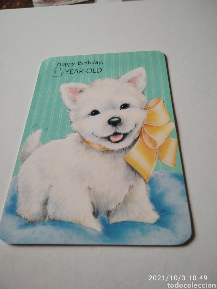 Postcards: Postal felicitacion perrito