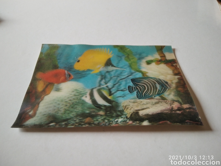 Postcards: Postal relieve tridimensional peces tropicales