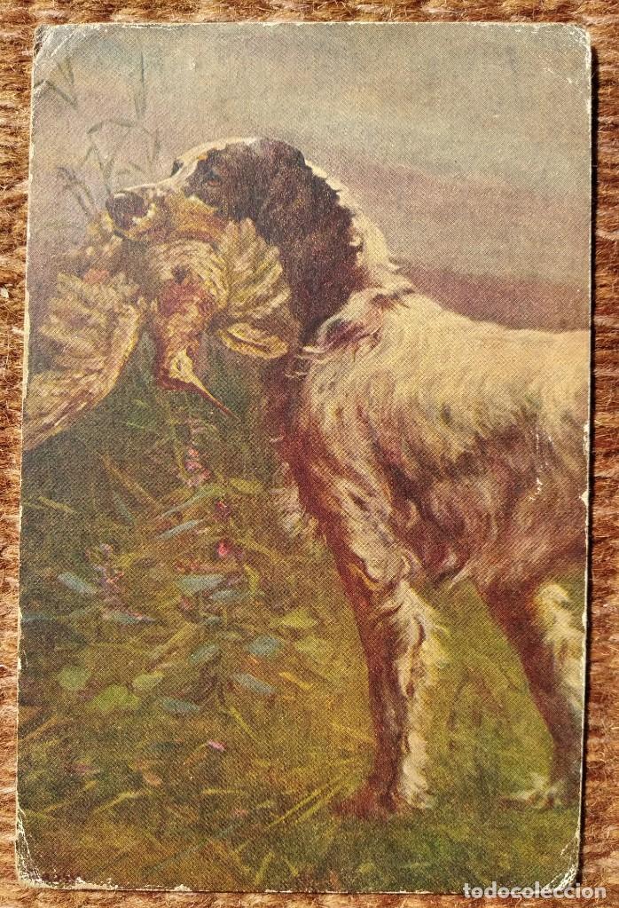Postcards: PERRO DE CAZA
