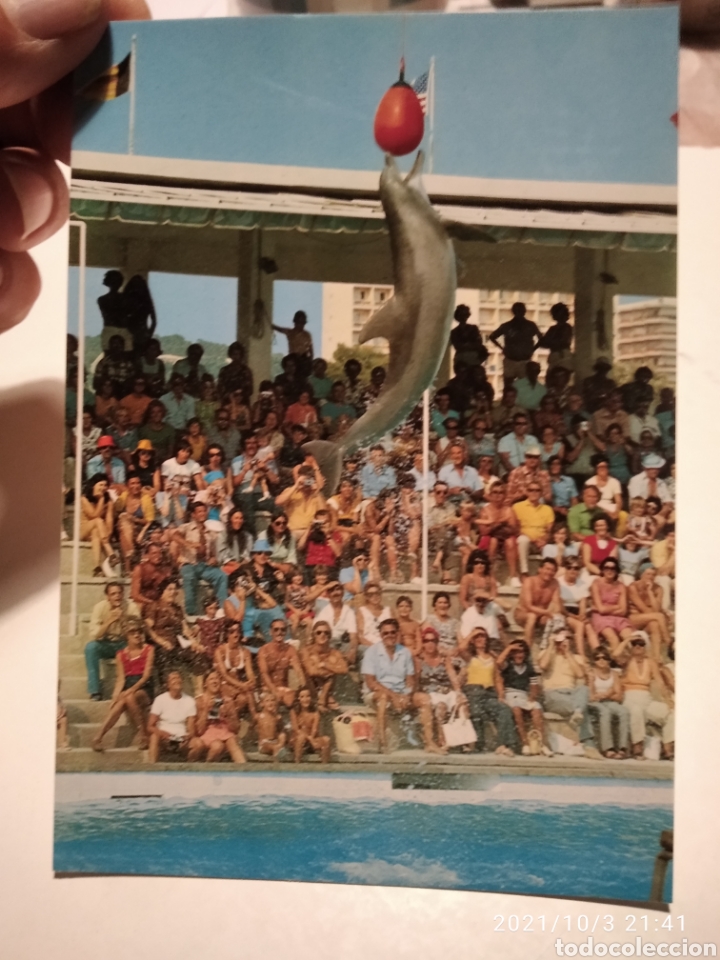 Postales: Postal Marineland delfine - Foto 1