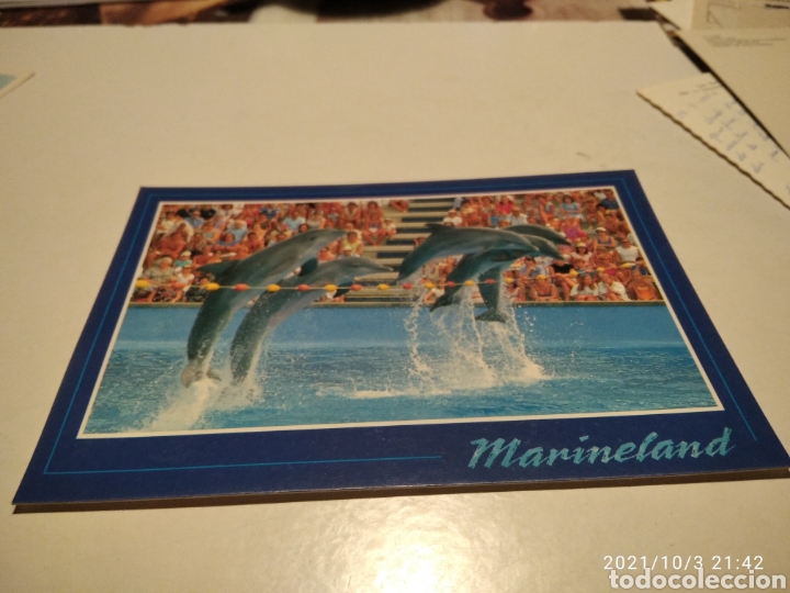 Postales: Postal Marineland delfines - Foto 1