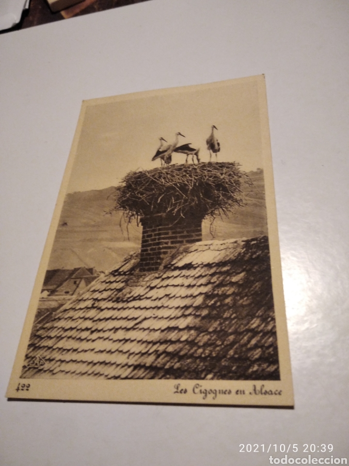 Postais: Postal antigua les Cigogues eu Alsace