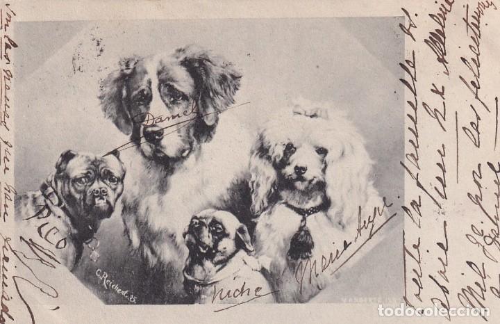 Postais: Bonita postal ilustrada con perros varias razas. Serie 45 Reverso sin dividir. Circulada