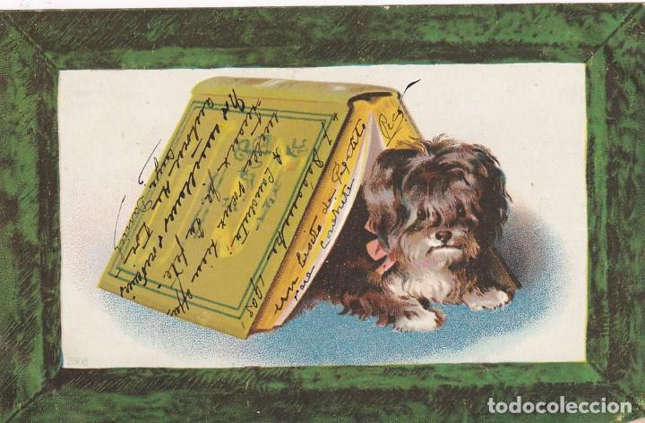 Postais: Bonita postal ilustrada perro debajo de un libro Reverso sin dividir. Escrita. Sin circular.