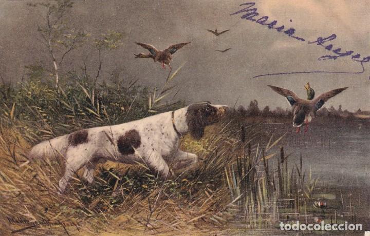 Postais: Bonita postal ilustrada perro de caza. Reveso sin dividir. Escrita Sin circular.