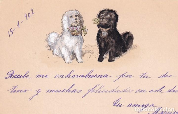 Postais: Postal ilustrada, perros Reverso sin dividir. Sin circular. Escrita.