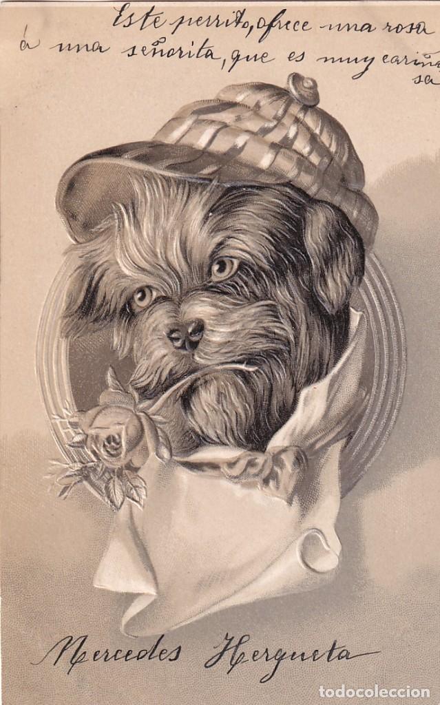 Postais: Postal ilustrada, perro en relieve. Reverso sin dividir. Sin circular. Escrita.