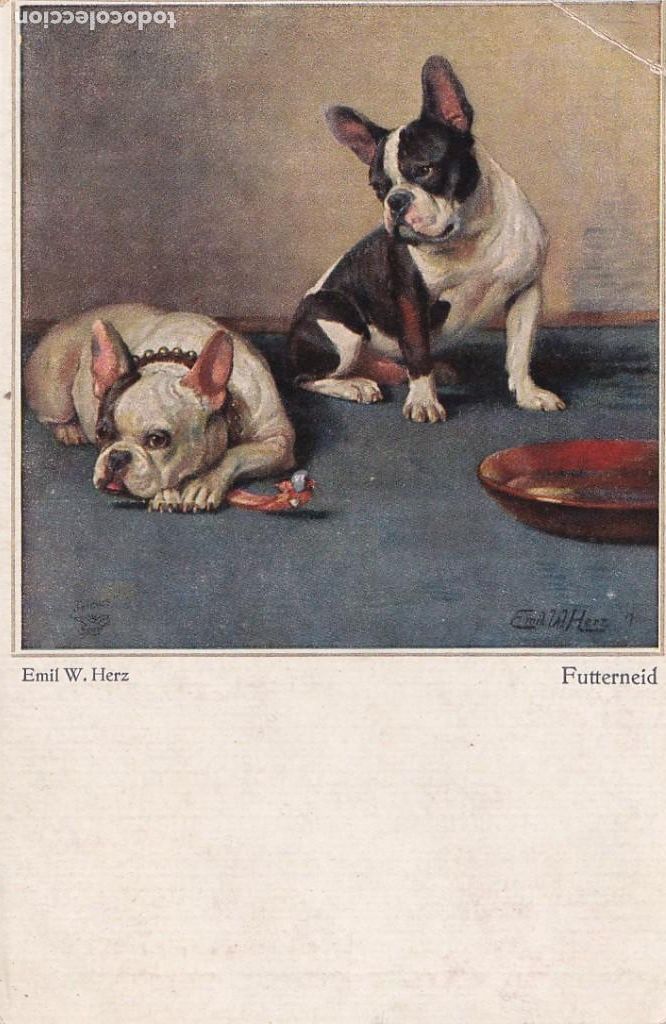 Postais: Postal ilustrada, perro bulldog. Sin circular.
