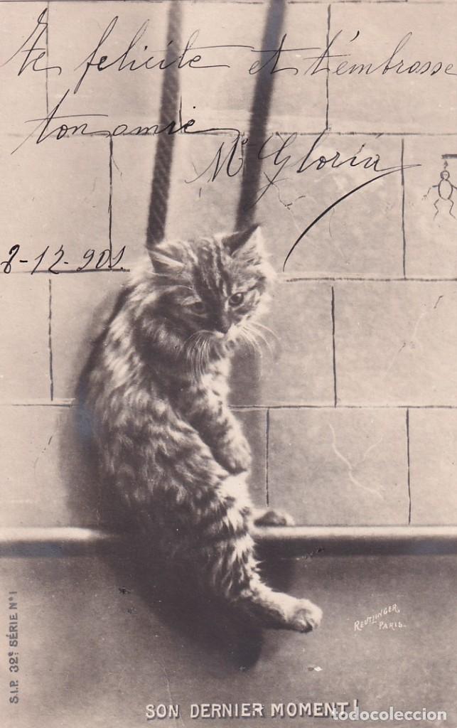 Postales: Postal gatos Serie 32 n&ordm; 1 Son dernier moment. Reverso sin dividir. Sin circular. Escrita.