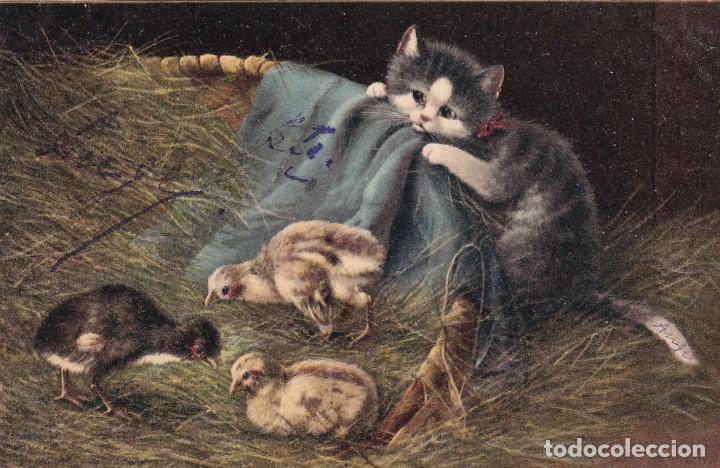 Postales: Postal ilustrada gatos y patitos. Reverso sin dividir. Escrita. Sin circular.