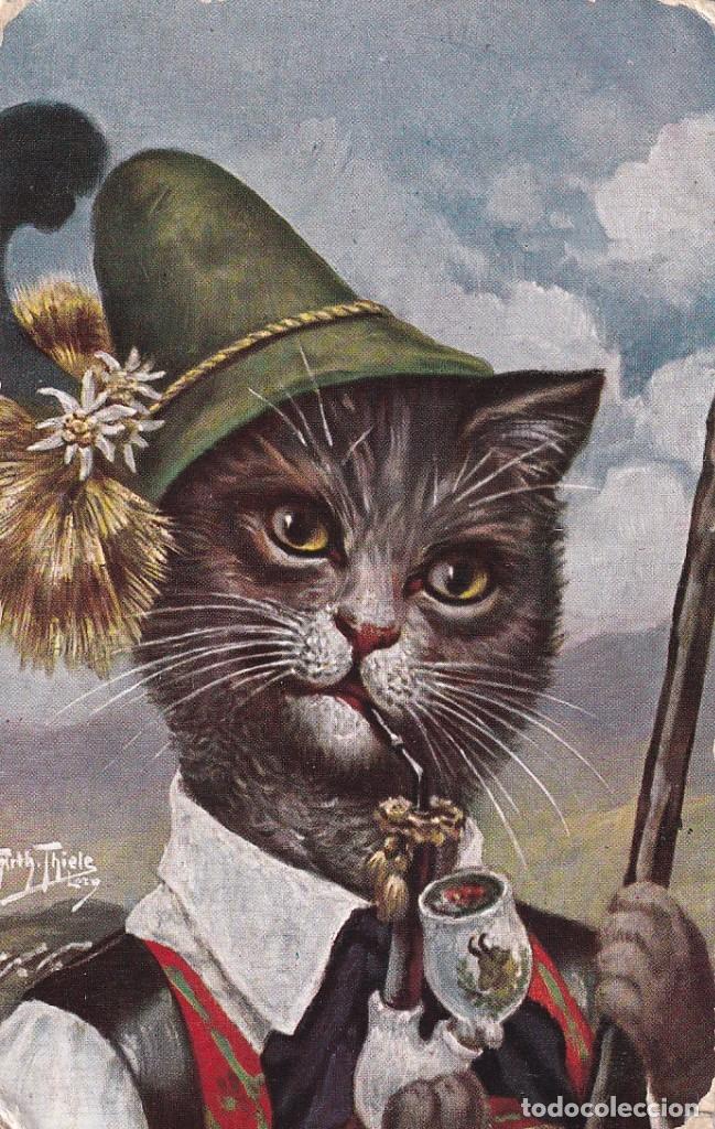 Postales: Postal ilustrada gato tiroles. Circulada.