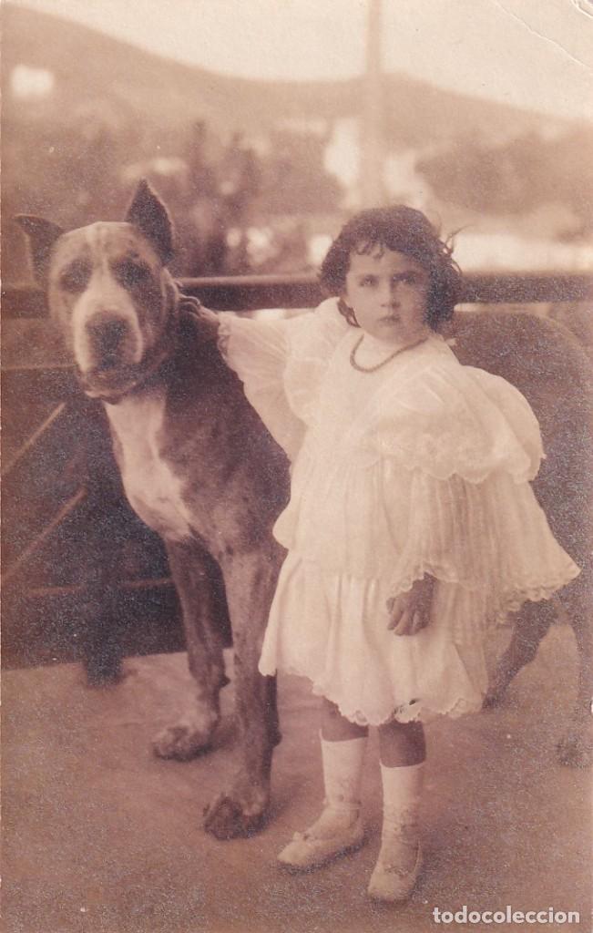 Postales: Postal fotogr&aacute;fica. Ni&ntilde;a con perro. Reverso sin dividir. Sin circular