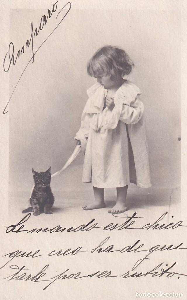 Postales: Postal ni&ntilde;a jugando con gato Reverso sin dividir. Escrita. Sin circular.