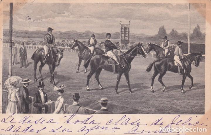 Postcards: Postal de Caballos. Equitaci&oacute;n Reverso sin dividir. Circualda