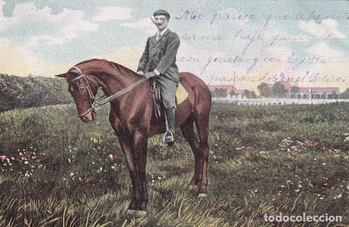Postcards: Postal de Caballos. Reverso sin dividir. Sin circular.