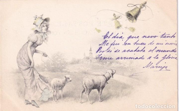 Postcards: Postal se&ntilde;ora con corderos. M. M. Vienne. Reverso sin dividir. Sin circular.