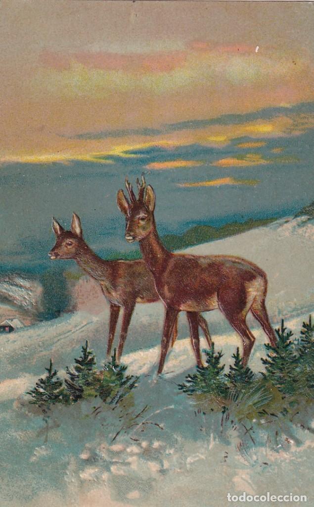 Postcards: Bonita postal en relieve ciervos. Circulada.