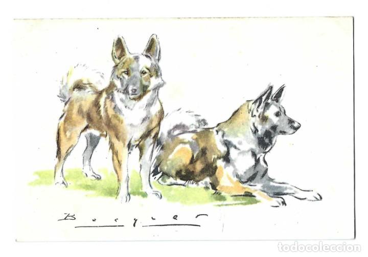 Postales: POSTAL- BECQUER. PERROS. SERIE B N&ordm; 11. ARCHIVO DE ARTE. BARCELONA- SIN CIRCULAR